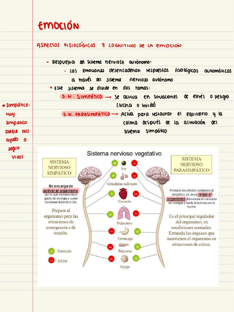 Fisiología y Cognición de las Emociones | PDF | Las emociones | Estrés ...