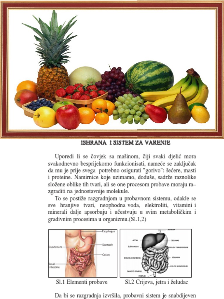 ISHRANA I SISTEM ZA VARENJE ISHRANA I SISTEM ZA VARENJE