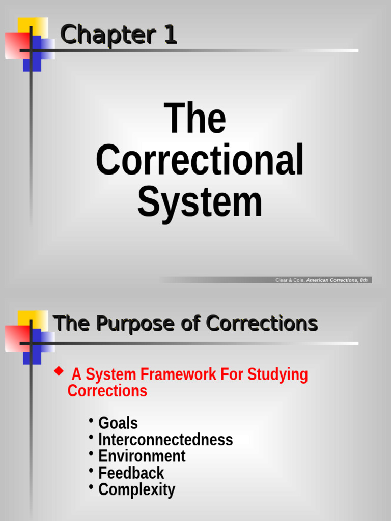 Overview of the Correctional System | PDF | Prison | Misdemeanor