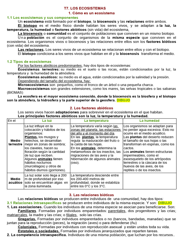 Componentes y Tipos de Ecosistemas | PDF | Suelo | Ecosistema
