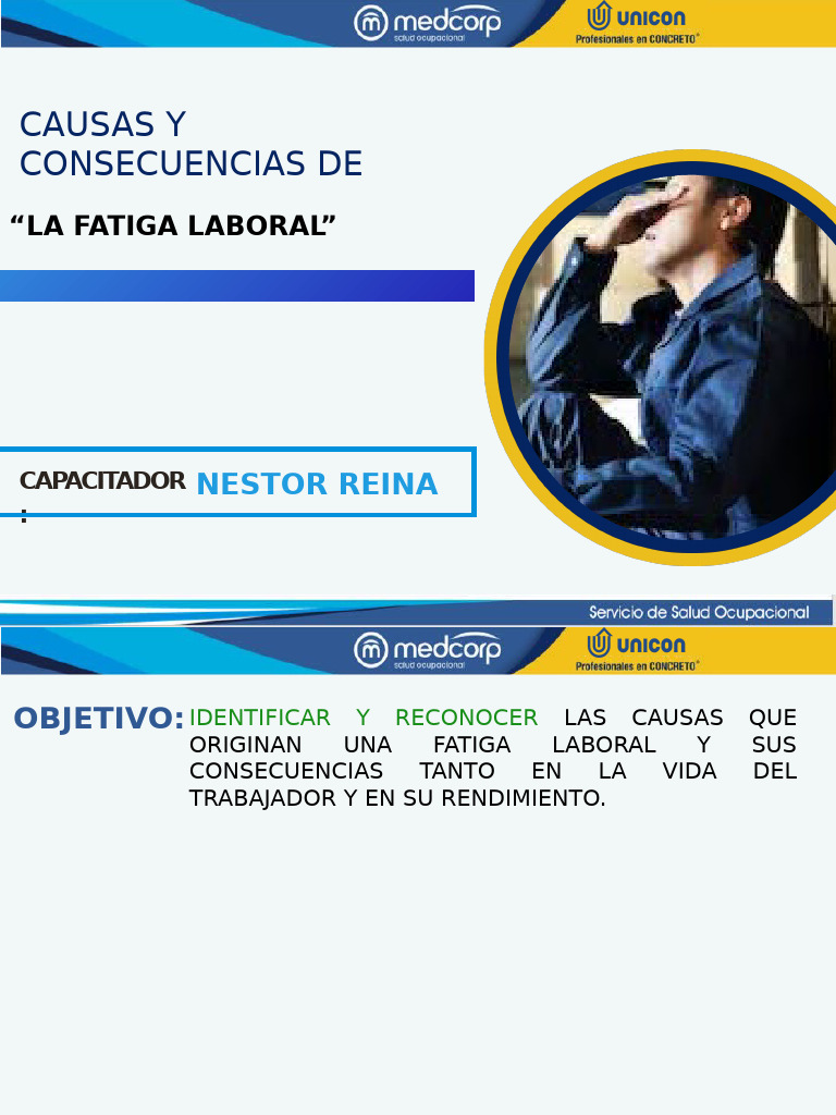 Taller 1 Causas y Consecuencias de La Fatiga Laboral | PDF | Burnout ...