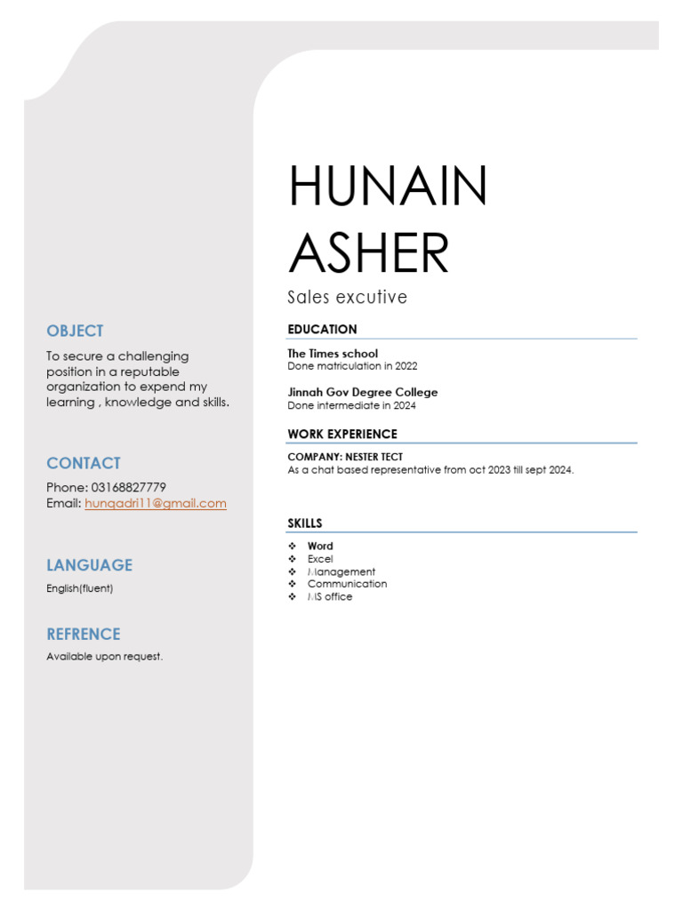 Sales Executive Resume of Hunain Asher | PDF