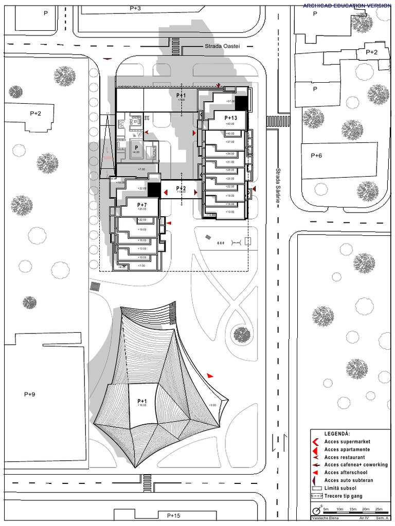 Plan Gresit Alb Negry | PDF