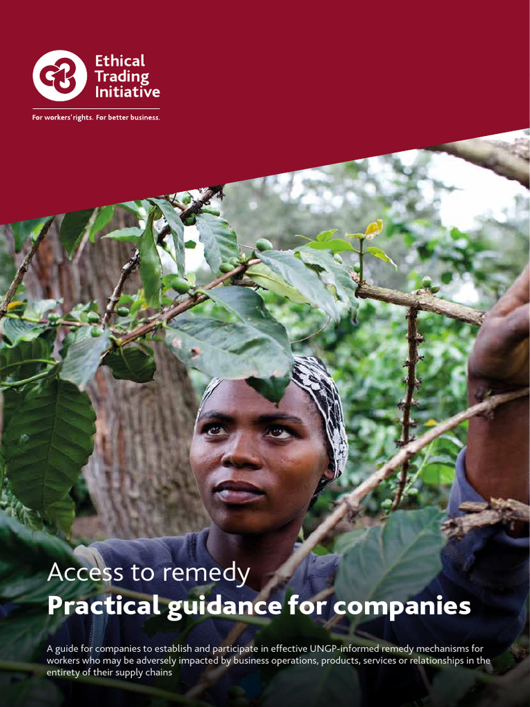 Remedy Mechanisms for Supply Chains | PDF | Supply Chain | Employment