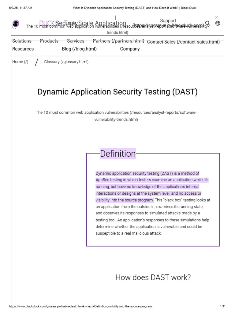 Understanding Dynamic Application Security Testing | PDF | Security ...