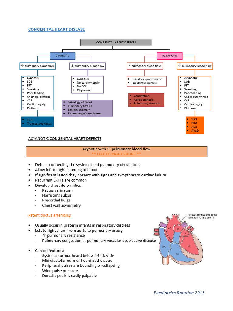Congenital Heart Defects Overview | PDF | Congenital Heart Defect ...