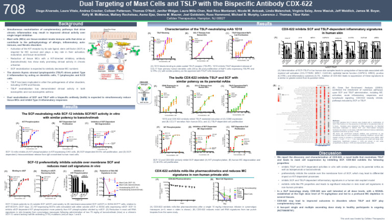 CDX-622: Dual Targeting of SCF and TSLP | PDF | Inflammation | Biochemistry