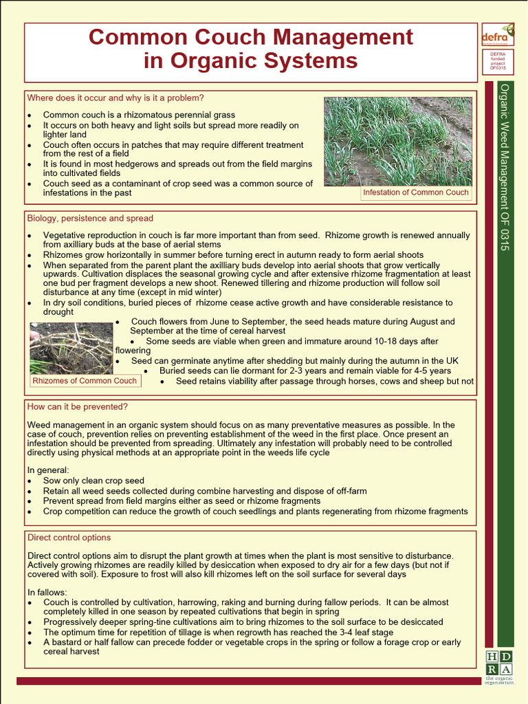 Organic Management of Common Couch | PDF | Tillage | Crop Rotation