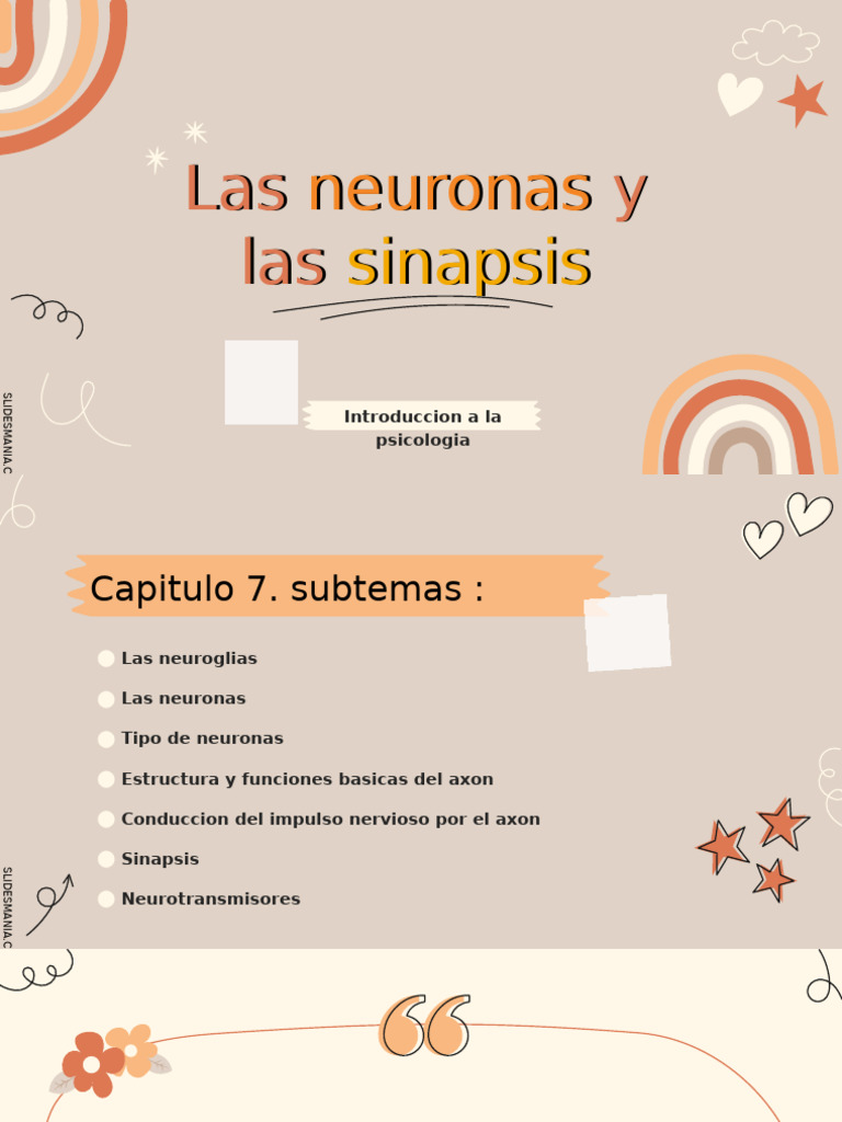 Neuronas y Sinapsis: Funciones Clave | PDF | Sinapsis | Neurotransmisor
