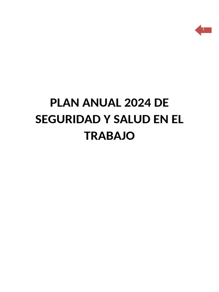 Plan Anual de Seguridad y Salud en El Trabajo 2024 | PDF | Seguridad y ...