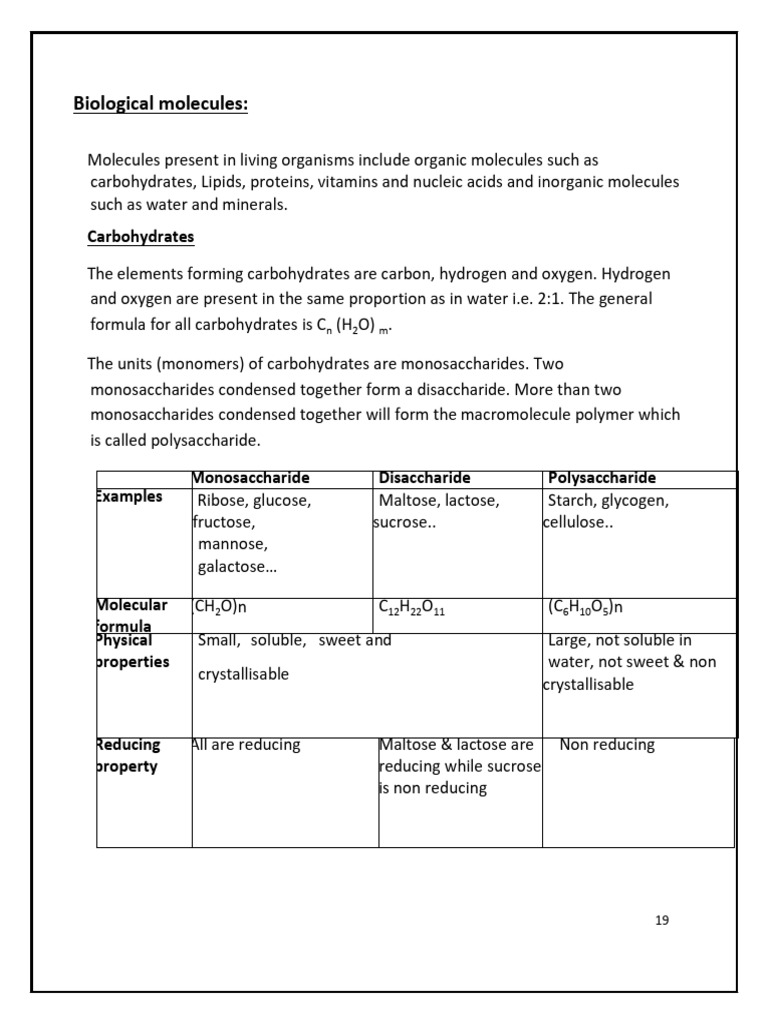 Biological Molecules l2 - 240910 - 220118 | PDF | Carbohydrates | Proteins