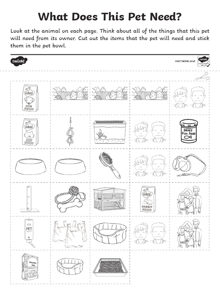 Pet Needs Activity for Kids | PDF