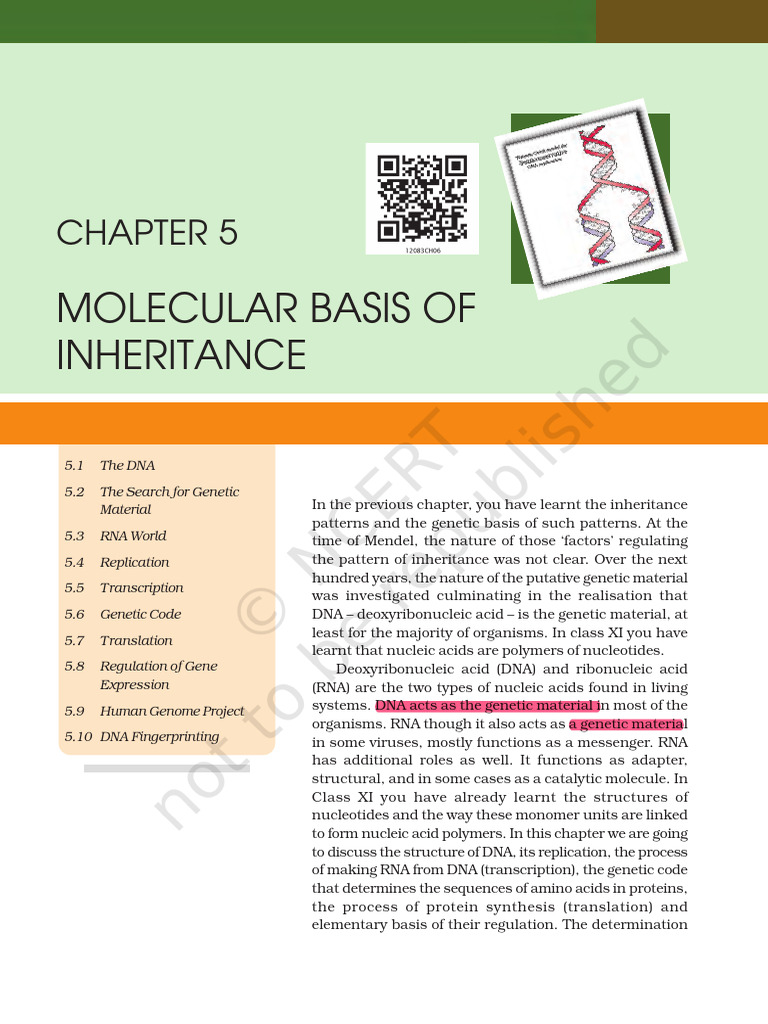 mol bio-class 12 | PDF | Dna | Rna