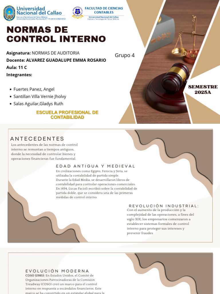 Normas de Control Interno 2025 | PDF | Auditoría