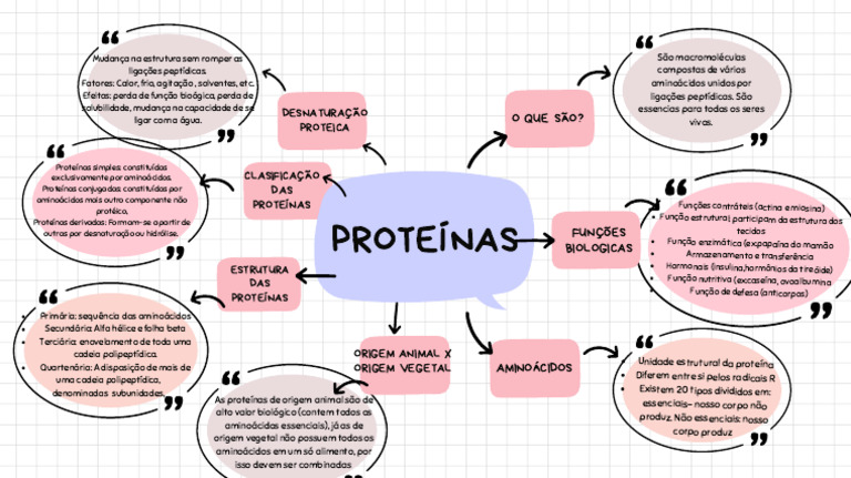 White and Pink Simple Mind Map Brainstorm PDF | PDF | Proteínas ...