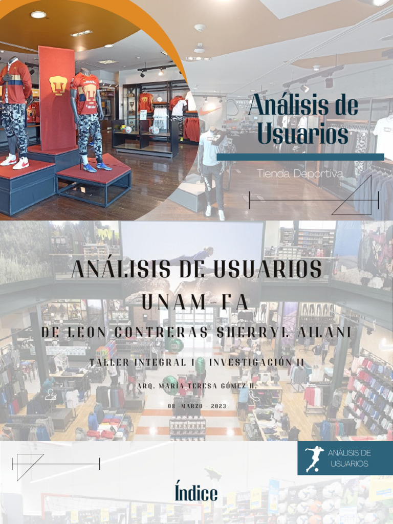 Análisis de Usuarios | PDF