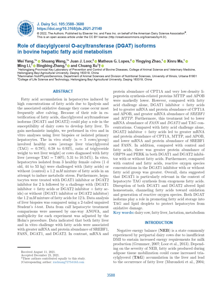 Role of DGAT in Dairy Cow Fatty Liver | PDF | Hepatocyte | Liver