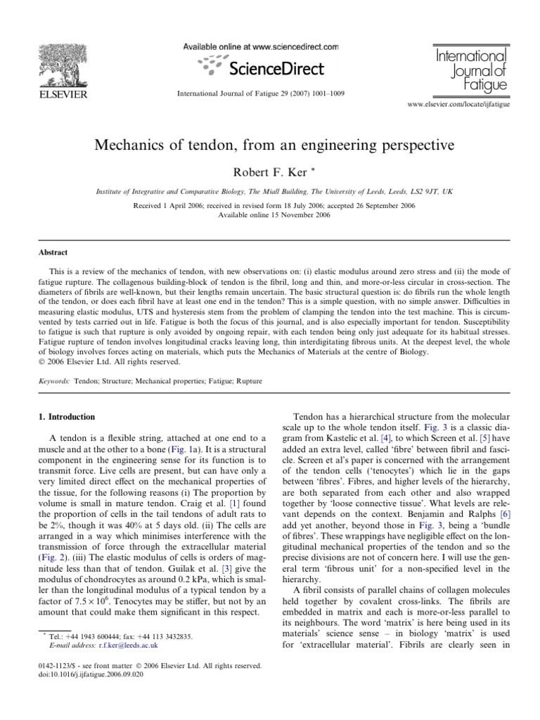 Tendon Mechanics: Engineering Insights | PDF | Fracture | Tendon