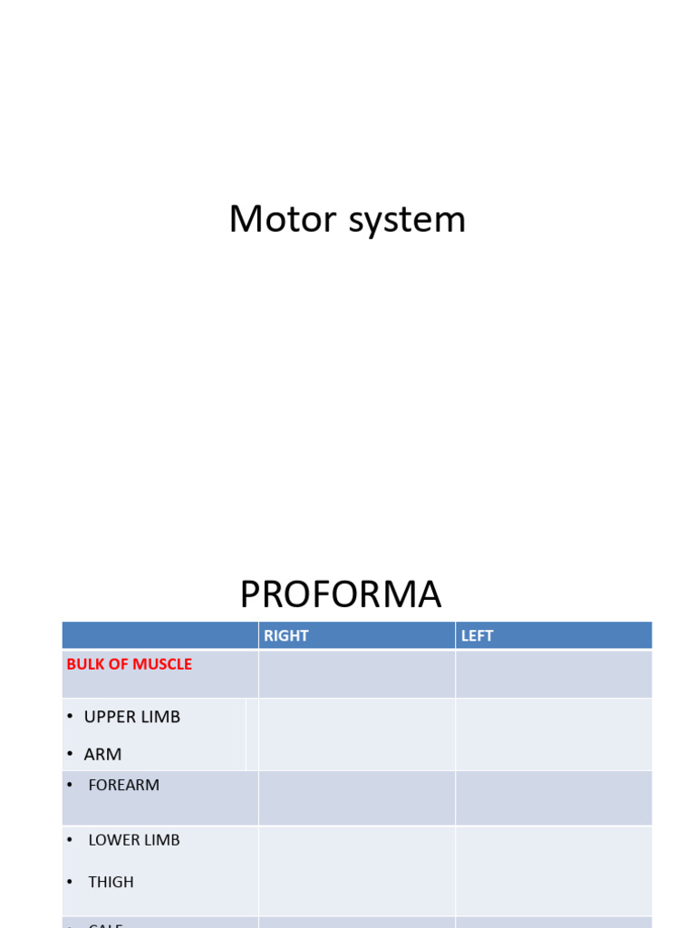 Proforma Motor System | PDF