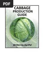 Cabbage Production Guide and Techniques | PDF | Cabbage | Soil