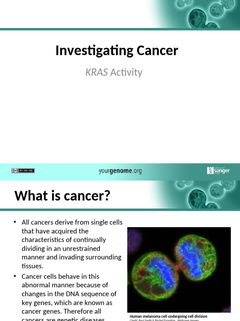 Understanding Cancer and KRAS Mutations | PDF | Cancer | Mutation