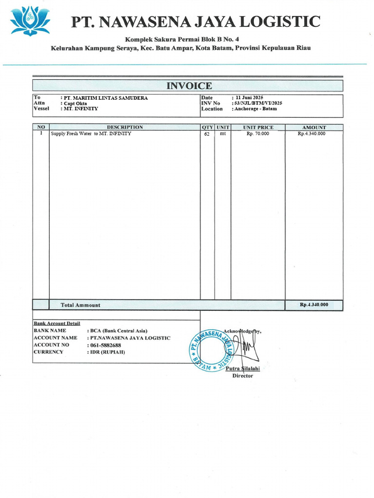 Invoice No. 53 Mt. Infinity | PDF