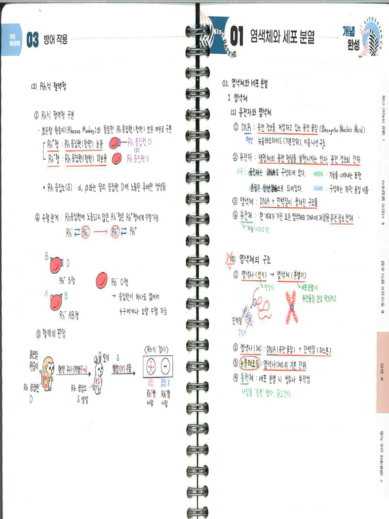 백호개념완성 - 유전 2024 | PDF
