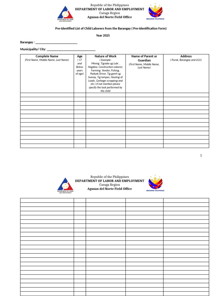 Child Labor Pre-Identification Form 2025 | PDF | Labor