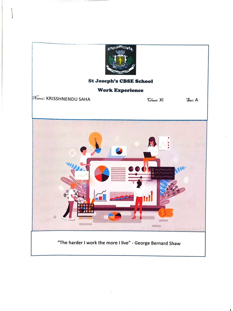 Work Experience Sample | PDF
