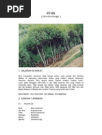 Download Kina by dhiforester SN8754882 doc pdf