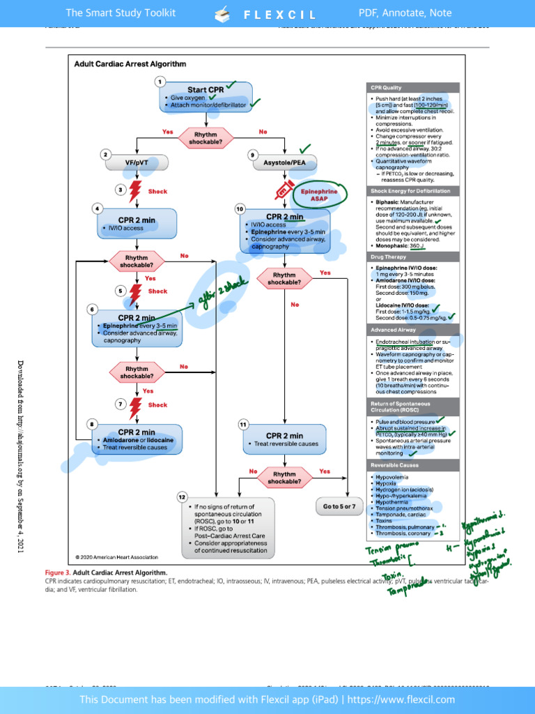 AHA 2020 Adult Cardiac Arrest Algorithm | PDF