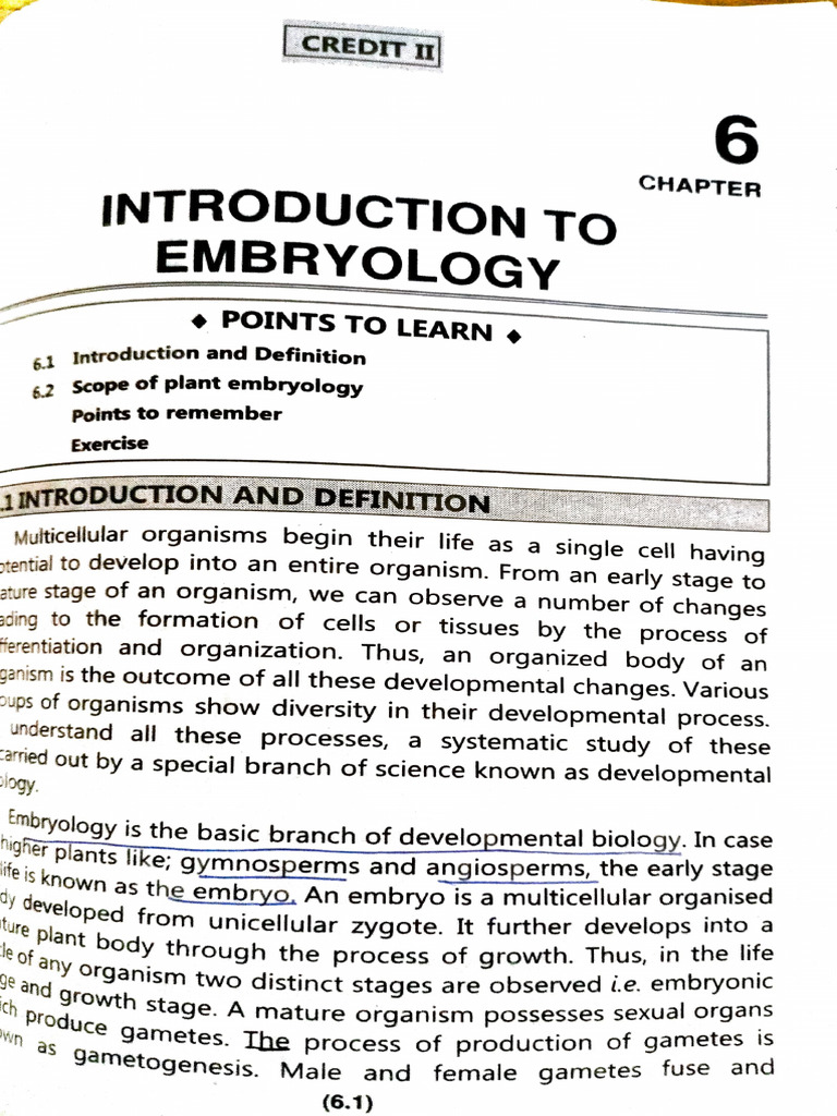 Adobe Scan 08 Apr 2025 | PDF | Embryo | Pollen