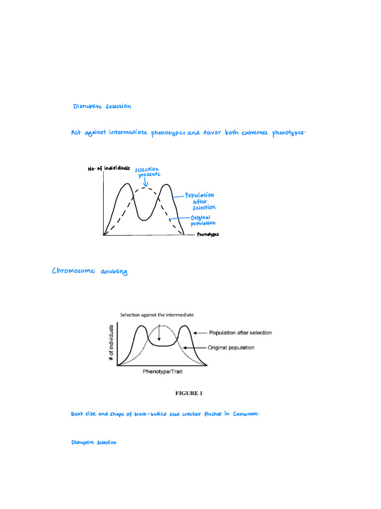 Natural Selection and Speciation Concepts | PDF | Species | Natural ...