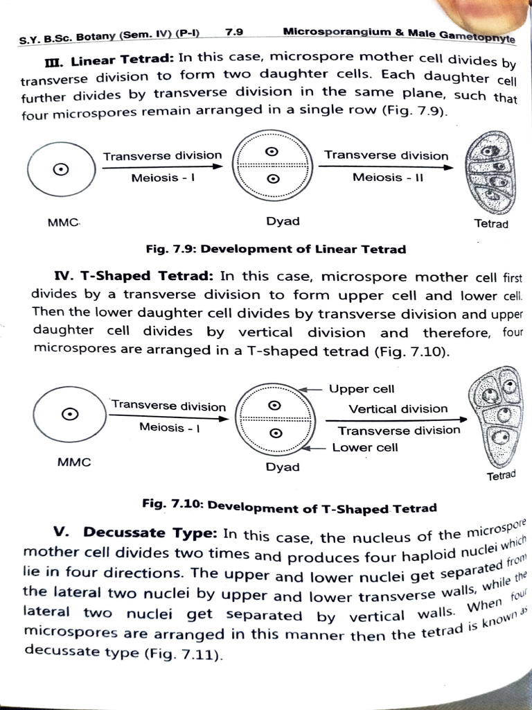 Adobe Scan 11-Mar-2025 | PDF | Pollen | Plants