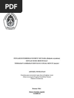 Download rumput mutiara by Nadia Fahmi Silabi SN87550035 doc pdf