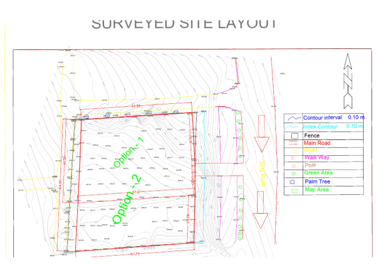 Surveyed Site Layout Overview | PDF