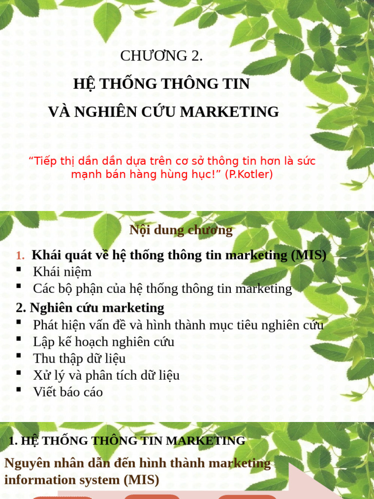 Chuong 2. He Thong Thong Tin Va Nghien Cuu Marketing | PDF