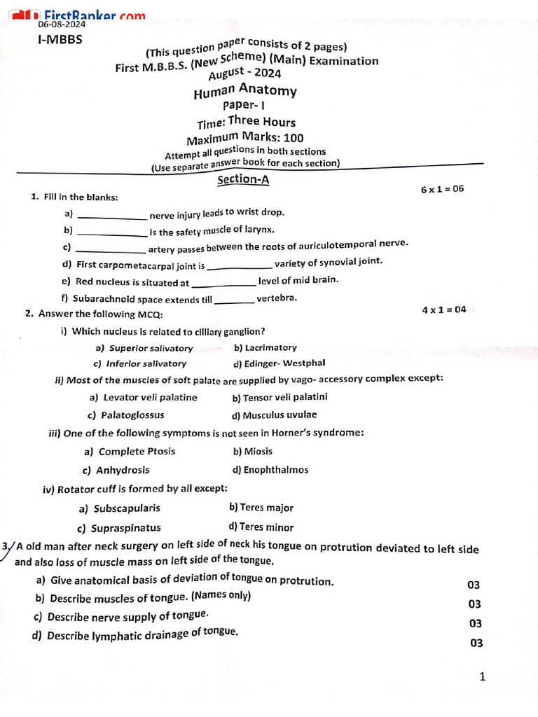 Ana 1 | PDF