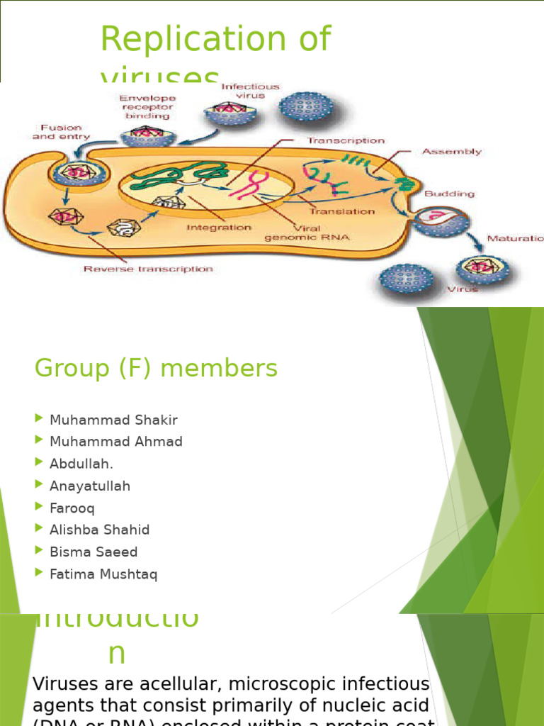 Microbiology Group F. | PDF | Virus | Rna