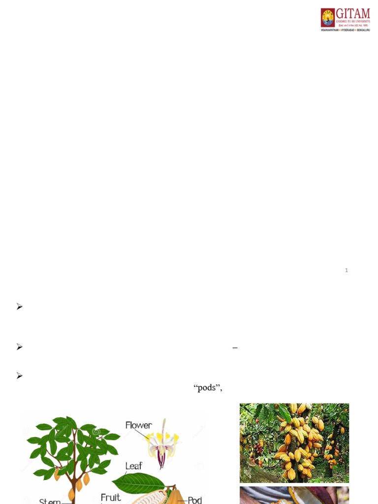 Cocoa_ed6e76091868903403ad97f24c54b83b | PDF | Cocoa Bean | Cocoa Solids