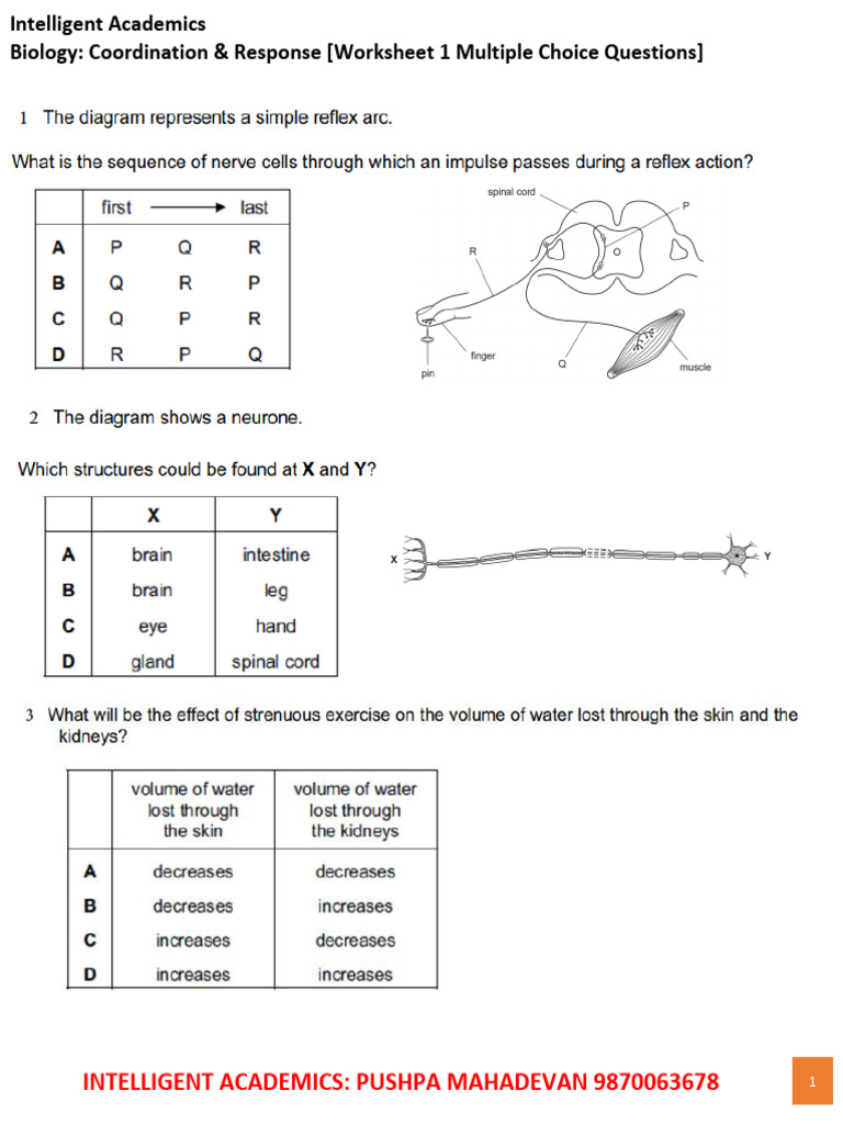Biology Coordination Q&A Worksheet | PDF