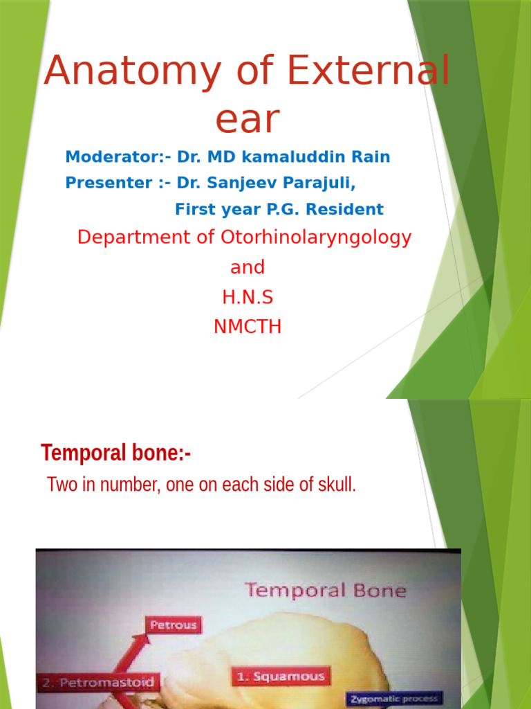 Anatomy of External Ear | PDF | Ear | Human Head And Neck