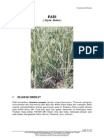 Download Padi by dhiforester SN8755672 doc pdf