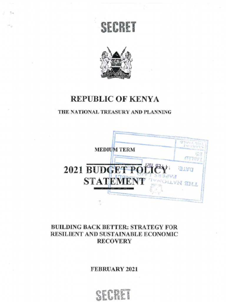 2021 Budget Policy Statement From The National Treasury.-Compressed | PDF