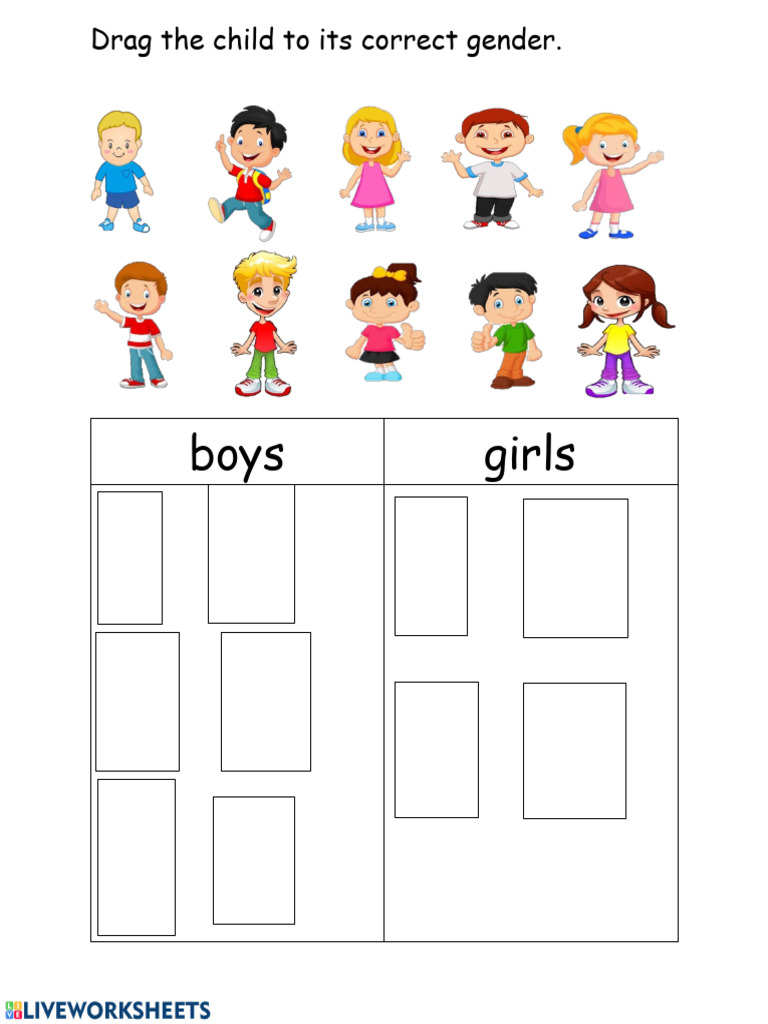Gender Identification Activity | PDF
