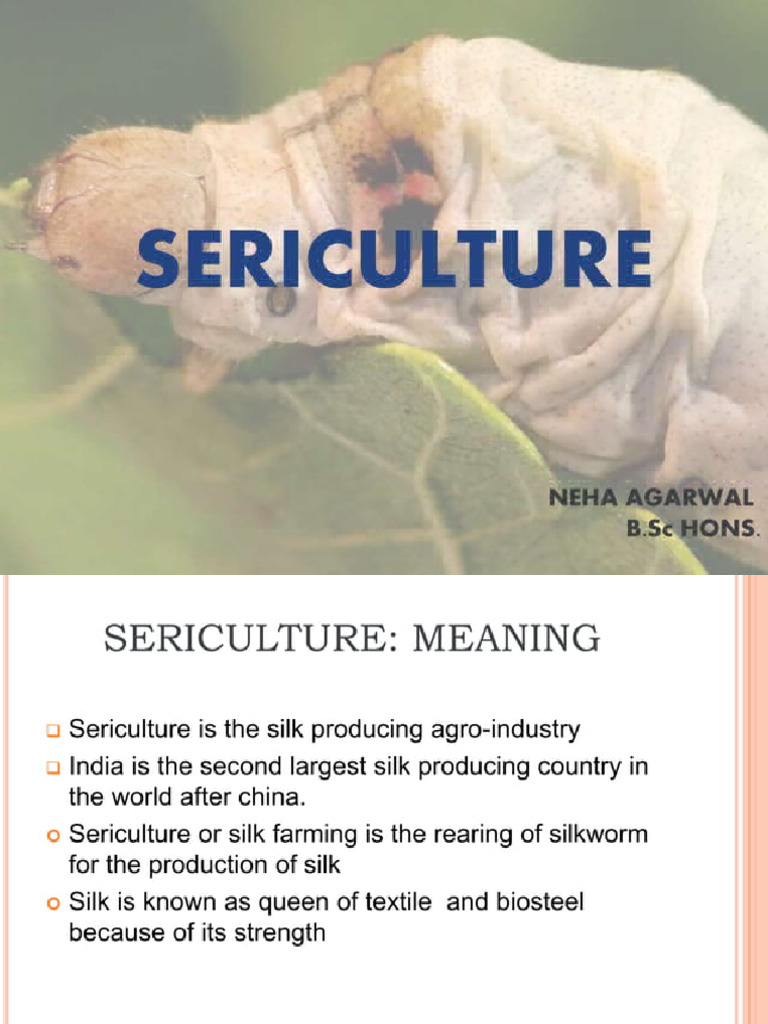 Sericulture 81714492 81714492 | PDF