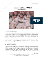 Download ubi_jalar by dhiforester SN8756048 doc pdf