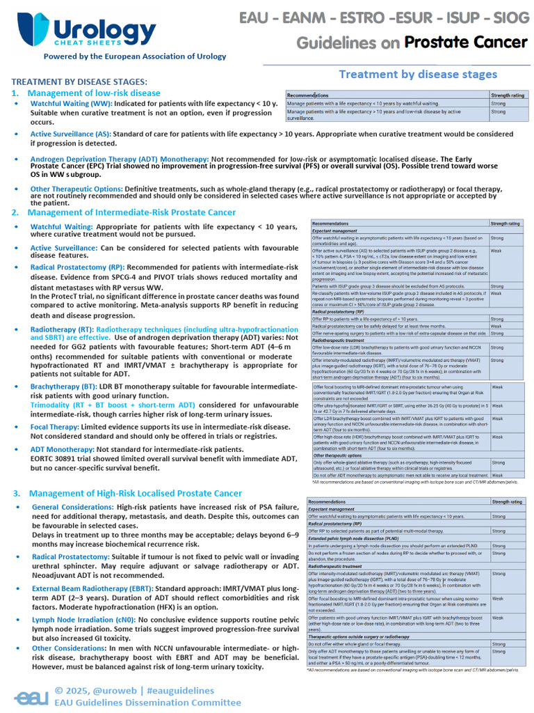 Prostate Cancer Treatment Guidelines 2025 | PDF | Medicine | Health Care