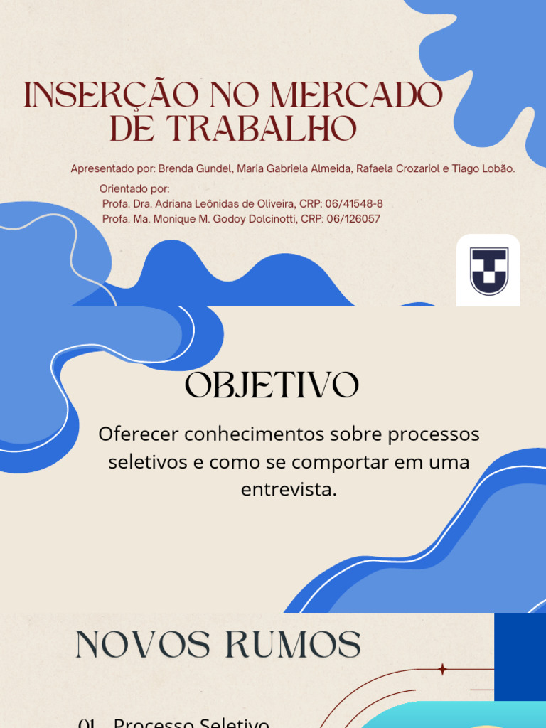 Inserção No Mercado de Trabalho PDF | PDF | Entrevista | Comunicação