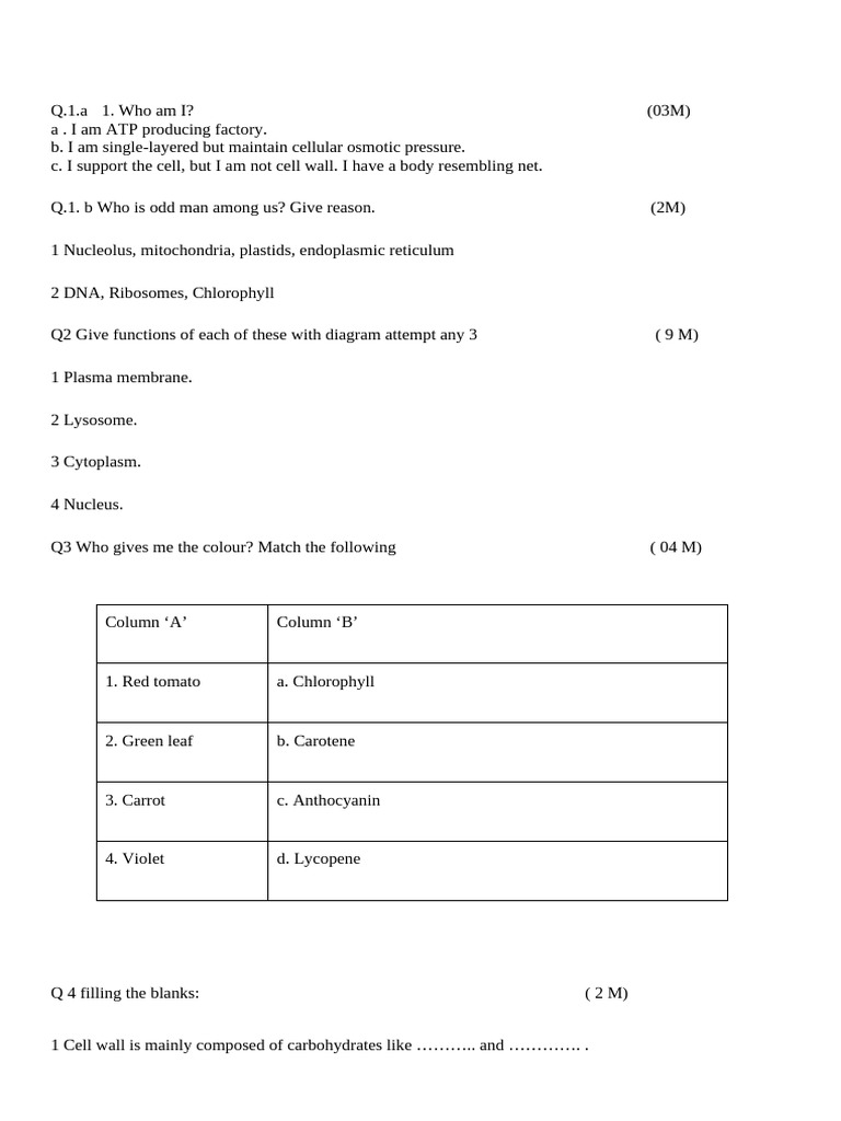 Cell Structure and Function Quiz | PDF